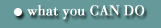 What you CAN DO