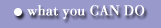 What you CAN DO